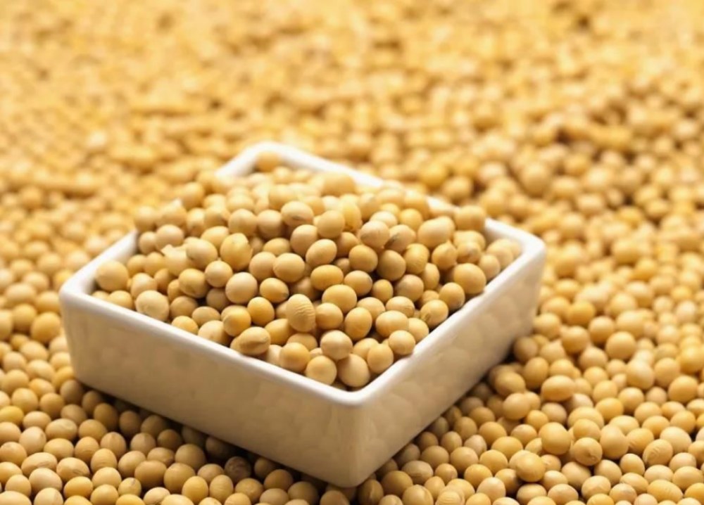 سویا آئسوفلاون کے فوائد کیا ہیں؟