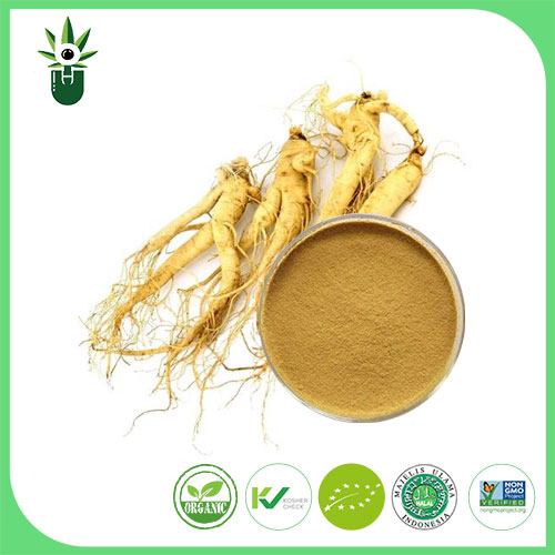 امریکی Ginseng اقتباس