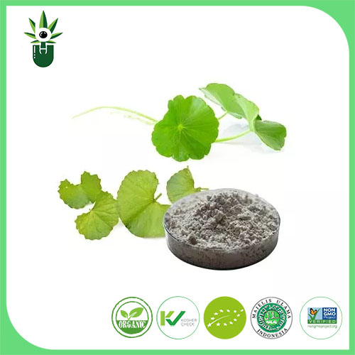 Centella Asiatica اقتباس