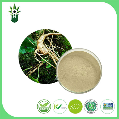 Ginseng ایکسٹریکٹ