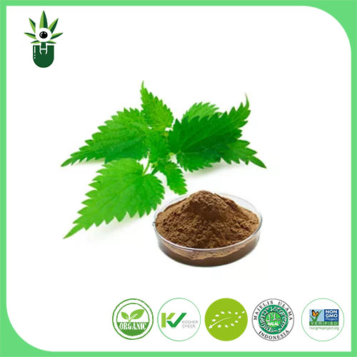 Nettle اقتباس