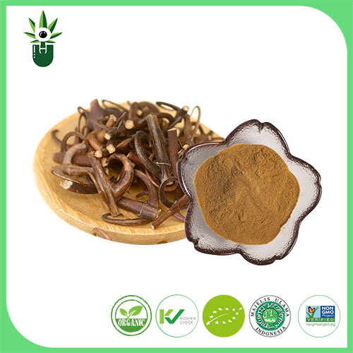 Uncaria اقتباس